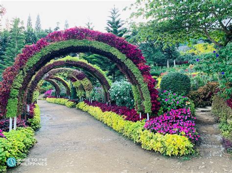 Top 10 Beautiful Flower Farms and Gardens in the Philippines.